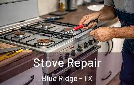  Stove Repair Blue Ridge - TX