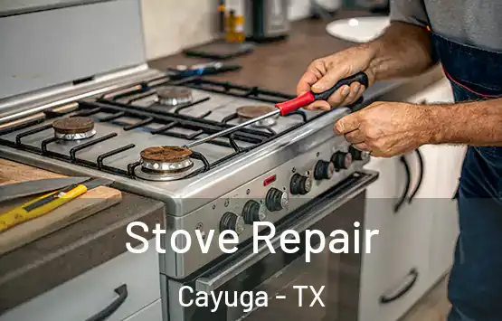  Stove Repair Cayuga - TX