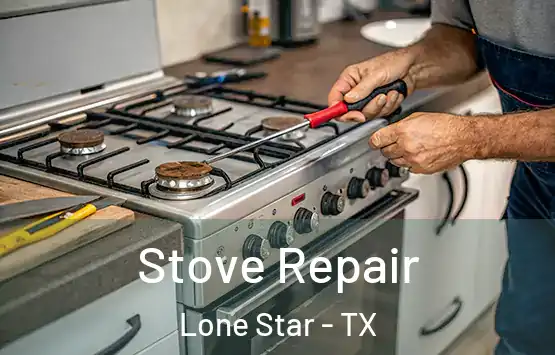  Stove Repair Lone Star - TX
