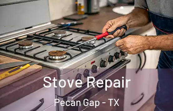  Stove Repair Pecan Gap - TX