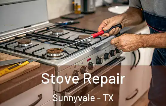  Stove Repair Sunnyvale - TX