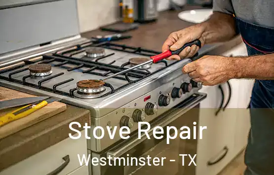  Stove Repair Westminster - TX