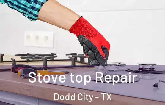  Stove top Repair Dodd City - TX
