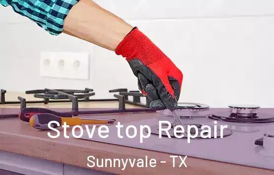  Stove top Repair Sunnyvale - TX