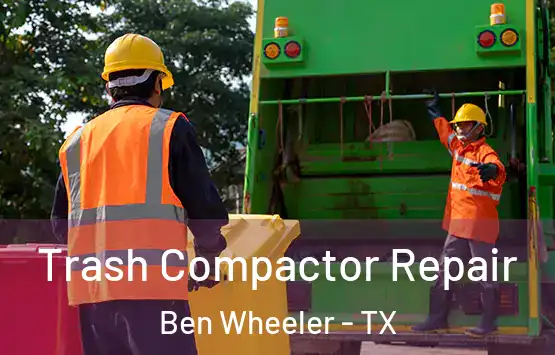  Trash Compactor Repair Ben Wheeler - TX