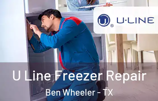  U Line Freezer Repair Ben Wheeler - TX