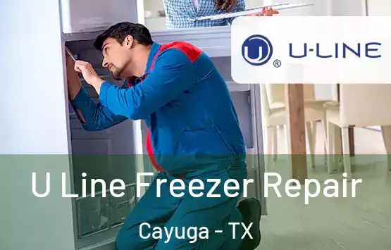  U Line Freezer Repair Cayuga - TX