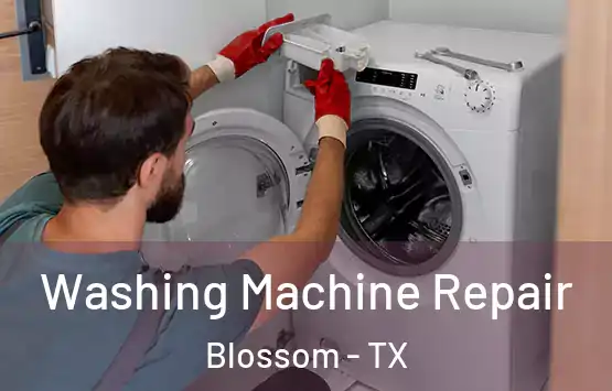  Washing Machine Repair Blossom - TX