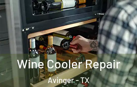  Wine Cooler Repair Avinger - TX