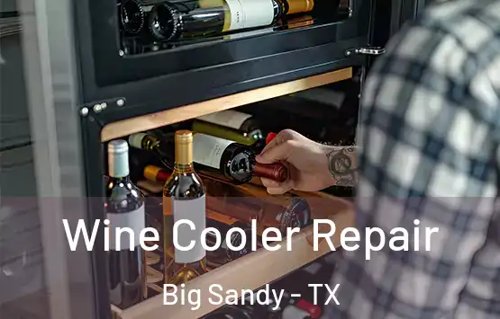  Wine Cooler Repair Big Sandy - TX