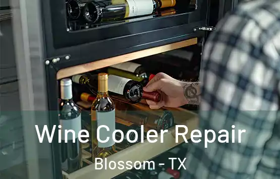  Wine Cooler Repair Blossom - TX
