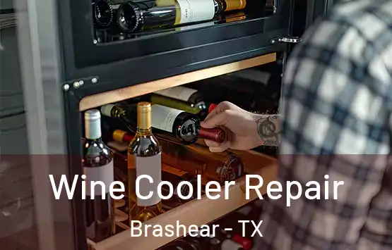  Wine Cooler Repair Brashear - TX