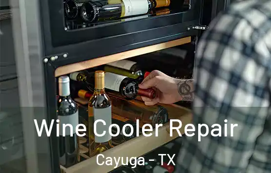  Wine Cooler Repair Cayuga - TX