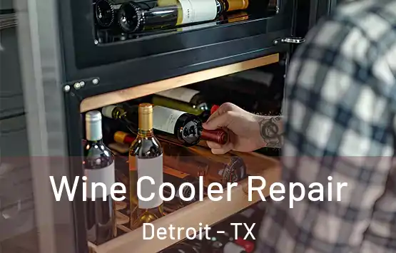  Wine Cooler Repair Detroit - TX