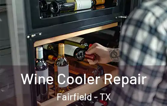  Wine Cooler Repair Fairfield - TX