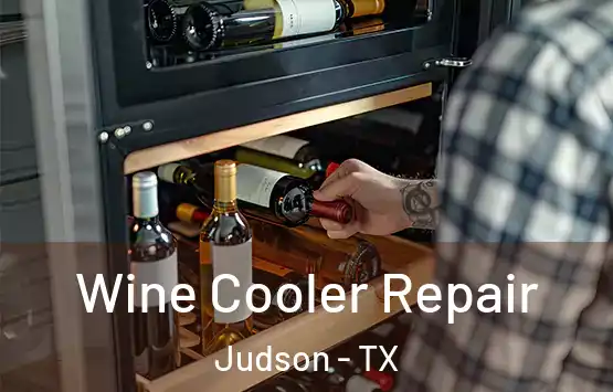  Wine Cooler Repair Judson - TX