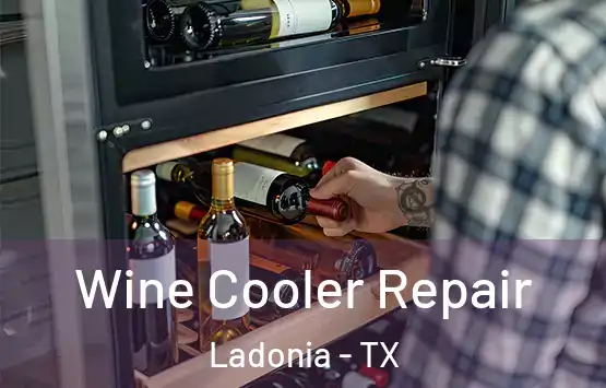  Wine Cooler Repair Ladonia - TX