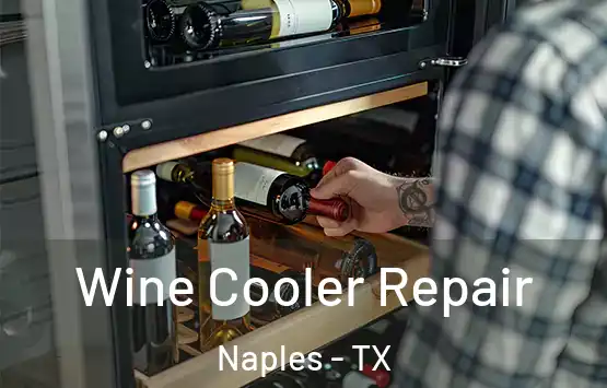  Wine Cooler Repair Naples - TX