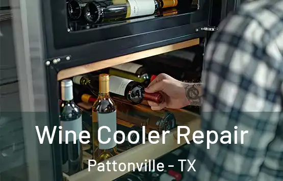  Wine Cooler Repair Pattonville - TX
