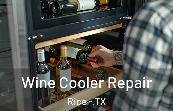  Wine Cooler Repair Rice - TX