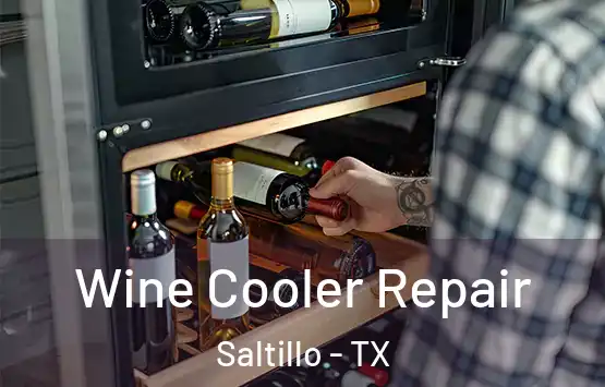  Wine Cooler Repair Saltillo - TX