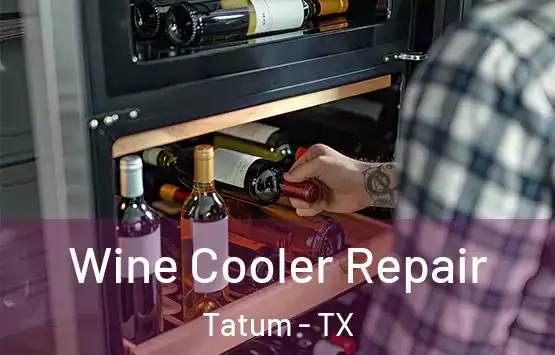  Wine Cooler Repair Tatum - TX