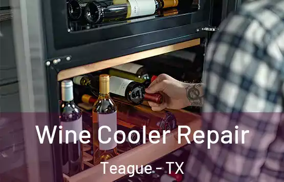  Wine Cooler Repair Teague - TX