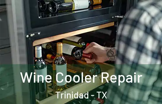  Wine Cooler Repair Trinidad - TX