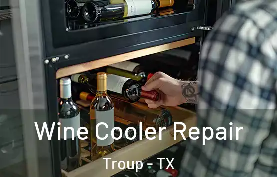  Wine Cooler Repair Troup - TX