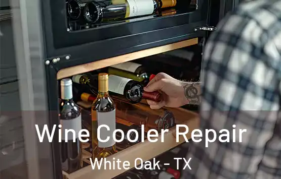  Wine Cooler Repair White Oak - TX
